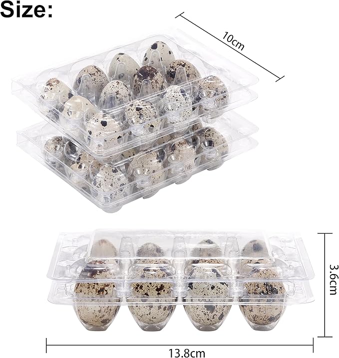 60 Pcs Quail Egg Cartons, Square Dozen Egg Boxes, Classical 3x4 Style Holds Up to Twelve 12 Count Small Quail Eggs Basket, Pigeon Eggs, Bulk Carton Quail Egg Tray Container for Refrigerator