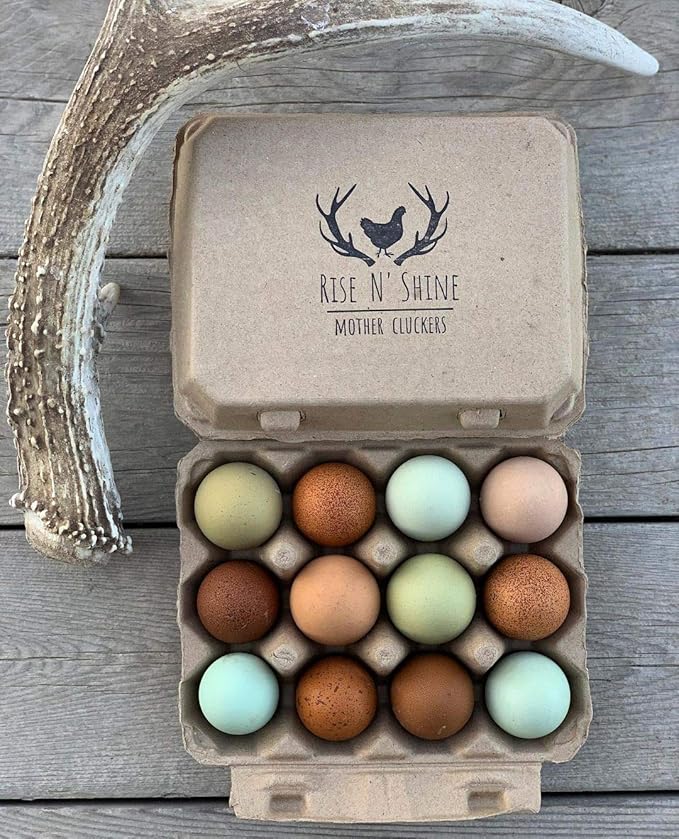 "Vintage Egg Cartons for 12 Large Eggs – Classic 3x4 Layout – Durable Recycled Cardboard – Farmhouse Style – Eco-Friendly Packaging - Tan 200 Pack