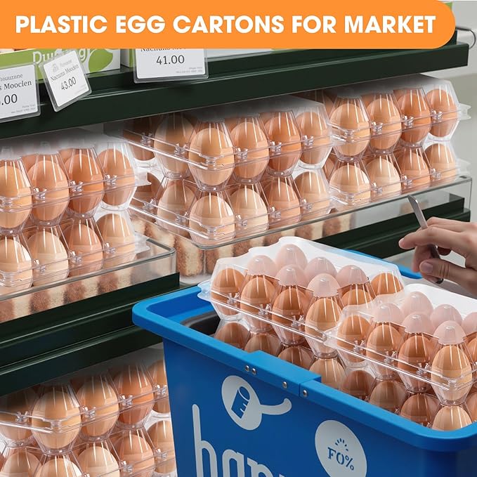 AYAYGD 40 Pack Clear Egg Cartons Cheap Bulk,Plastic Egg Carton Bulk 12 Count,Reusable Egg Holder, Medium Egg Containers for Chicken Eggs 2x6 Grids
