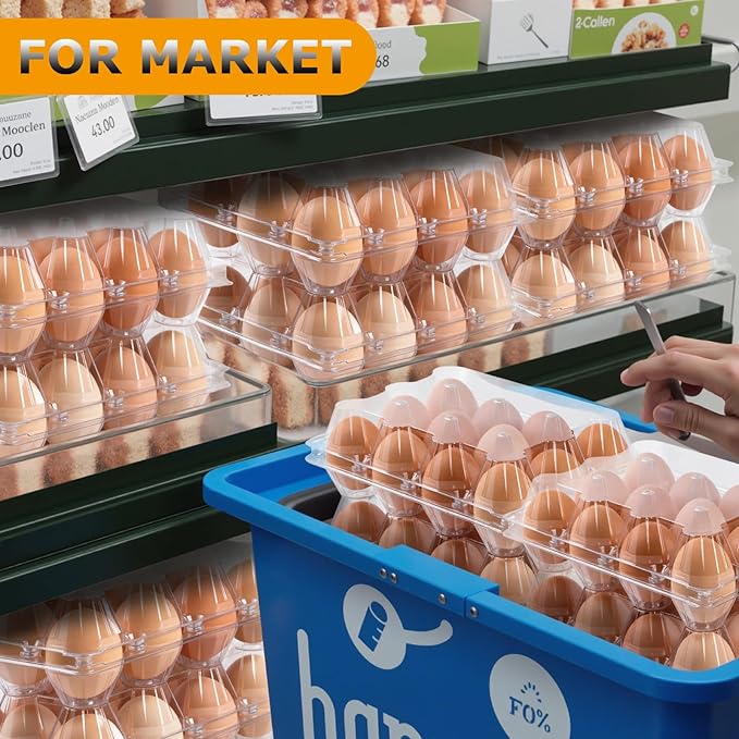 180 Pack Egg Cartons 6 Count, Clear Plastic Egg Cartons Cheap Bulk for Chicken Eggs, Reusable Egg Holder Container for Family, Chicken Farm and Markets, Medium