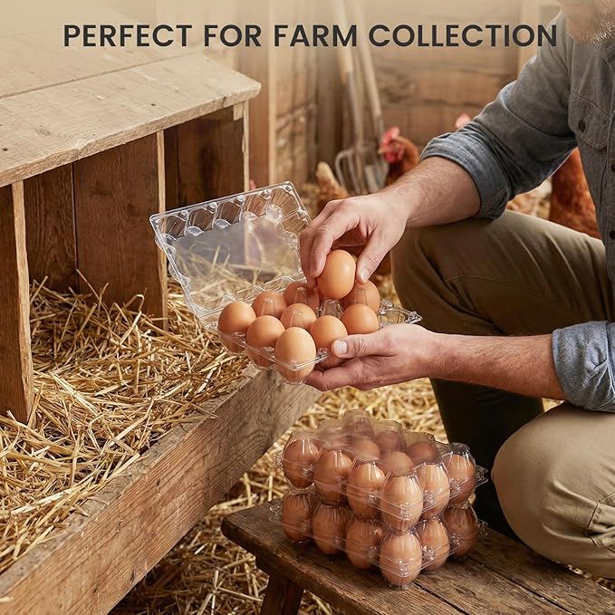 LOVEINUSA 100 PCS 12 Count Plastic Egg Cartons, with 105PCS Date Labels, Bulk Clear Reusable Egg Holder for Fresh Medium Eggs Storage, Suitable for Farms, Families, Markets Display