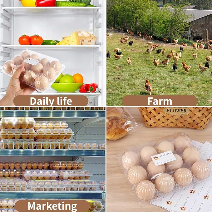 Egg Cartons 60 Pack,Clear Plastic Egg Cartons Cheap Bulk 12 Count For Fresh Chicken Eggs,4x3 Grids Reusable Egg Tray Holder For Refrigerator Storage, Family, Chicken Farm With Label Stickers
