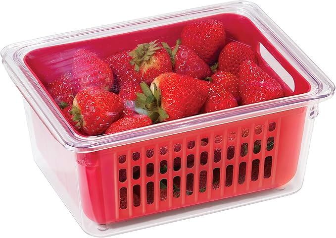 Oggi 5169 Berry Bin - Single Basket, Red