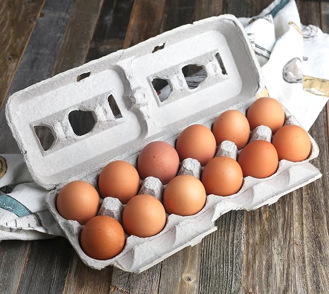 MT Products Natural Pulp Jumbo Egg Cartons 1 Dozen - Disposable Egg Storage Container (Pack of 15) - Made in the USA