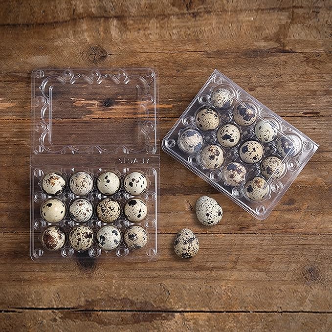 60 Pcs Quail Egg Cartons, Square Dozen Egg Boxes, Classical 3x4 Style Holds Up to Twelve 12 Count Small Quail Eggs Basket, Pigeon Eggs, Bulk Carton Quail Egg Tray Container for Refrigerator