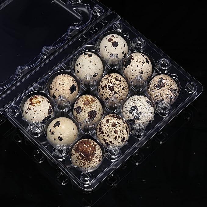 60 Pcs Quail Egg Cartons, Square Dozen Egg Boxes, Classical 3x4 Style Holds Up to Twelve 12 Count Small Quail Eggs Basket, Pigeon Eggs, Bulk Carton Quail Egg Tray Container for Refrigerator