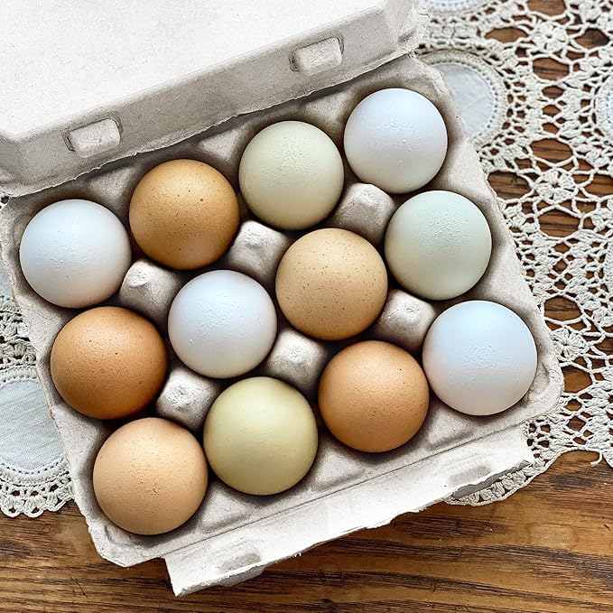 Vintage Egg Cartons for 12 Large Eggs – Classic 3x4 Layout – Durable Recycled Cardboard – Farmhouse Style – Eco-Friendly Packaging - White 200 Pack