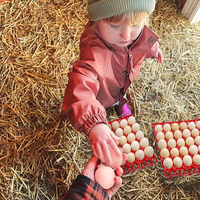 Aqwxc 4-Pack Plastic Egg Tray Egg Crate, 30-Egg Flats for Home Chicken Farmers, Stackable & Durable, Great for Storing, Sorting & Shipping, and Reusable (4-Pack Green)